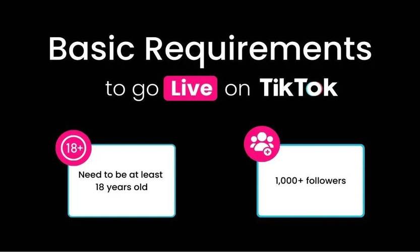tiktok日本直播ip_在线轰炸机日本版优化体验-新闻-在线轰炸机线路,tiktok专线,tiktok节点,原生ip,在线轰炸机直播盒子,SD-WAN