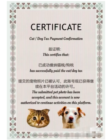 tiktok英国ip_云呼网页版难民 小红书流量 _ 小红书国际用户增长 