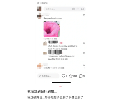  小红书国际用户增长 _tiktok英国ip_云呼网页版难民 小红书流量 