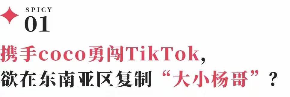 tiktok法国直播_ 小黄手机号码轰炸app免费东南亚直播 _