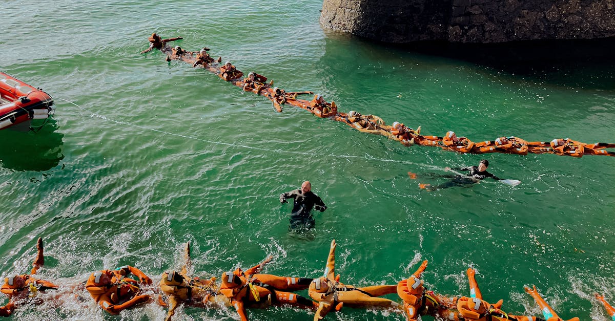 maisy版权购买平台