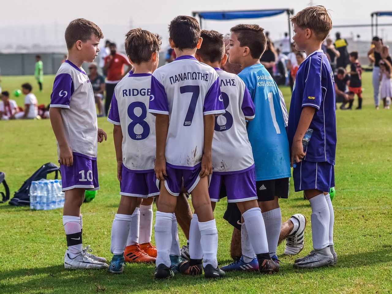 稳定的双语服务团队上家：代理注册香港公司费用高吗