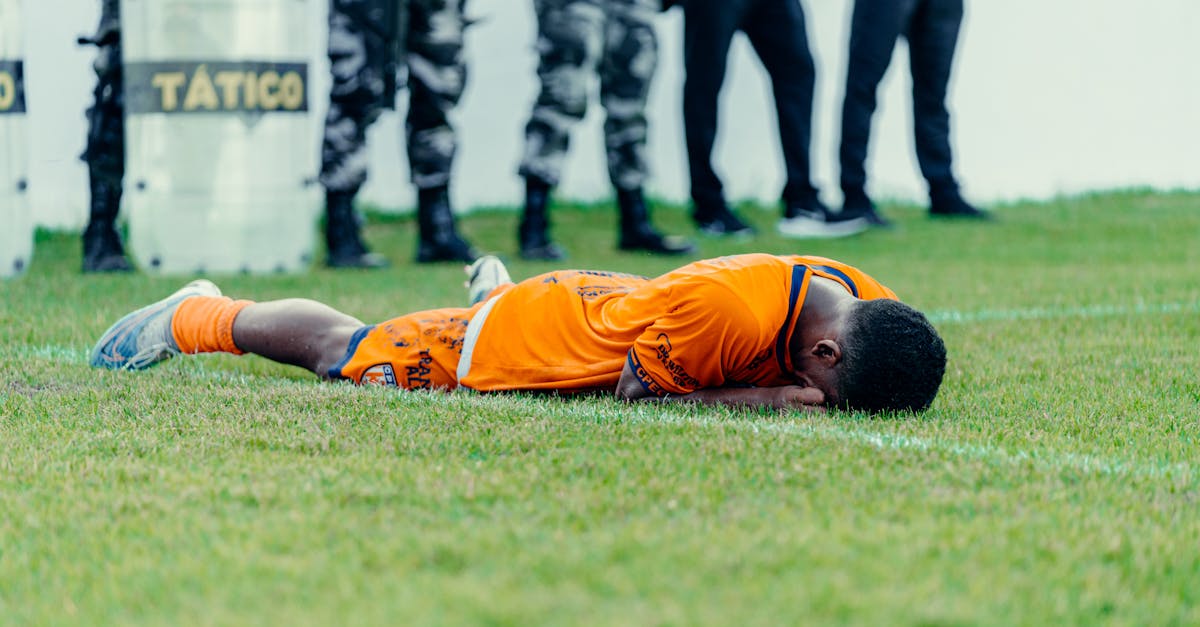 魔力宝贝：新世界：代理机构注册执照