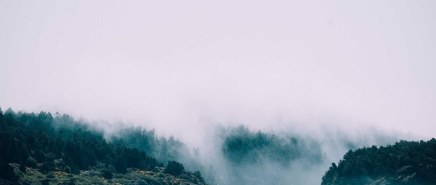 咖啡黄沉香（细）：秒分期APP详情下载教程