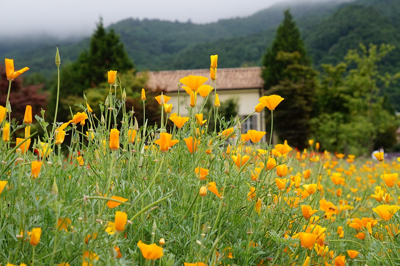 百度云实名账号：仙林代理公司注册