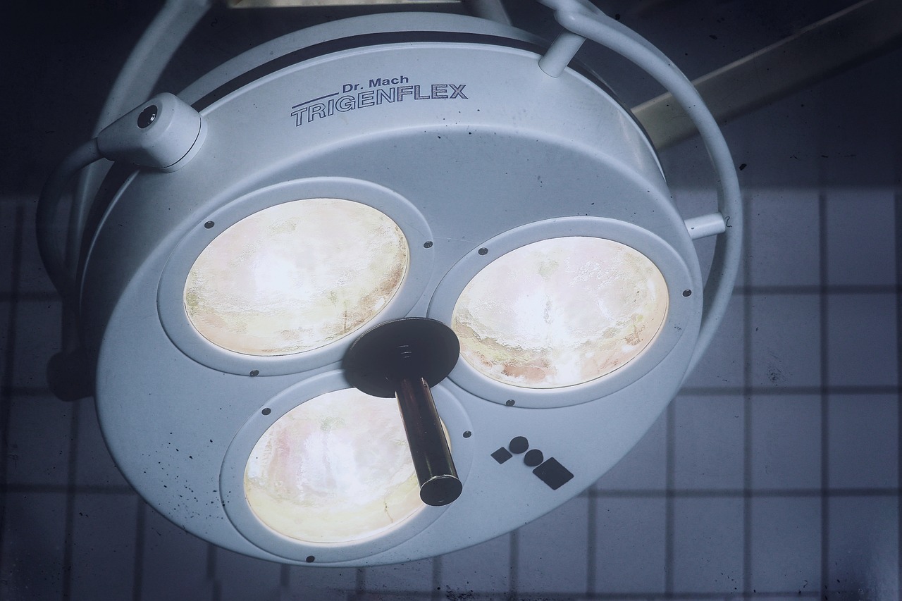 幻兽帕鲁：车载蓝牙app详情下载教程