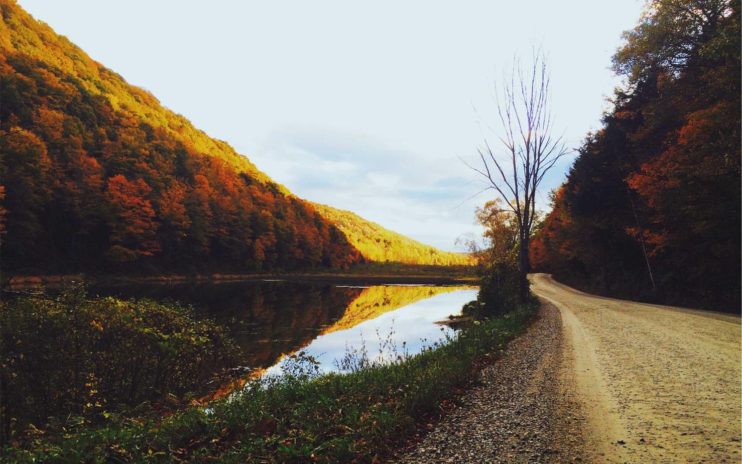 天音移动实名账号：注册公司代理怎样收费